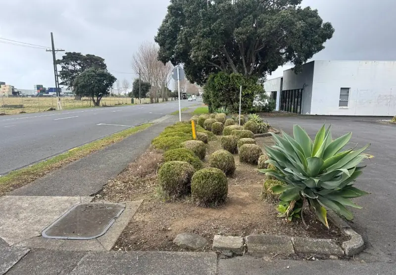 Garden bed maintenance and planting in Papakura