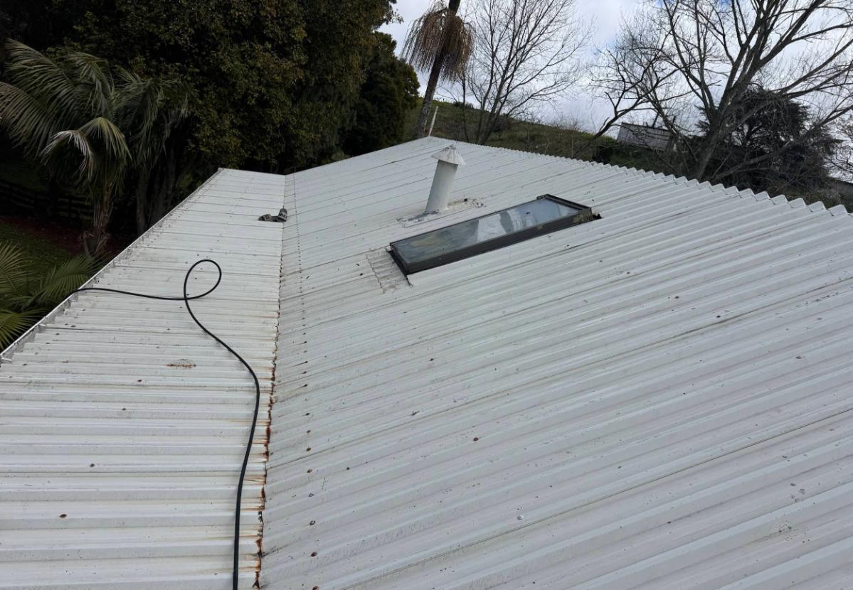 Roof washing and exterior cleaning in Papakura