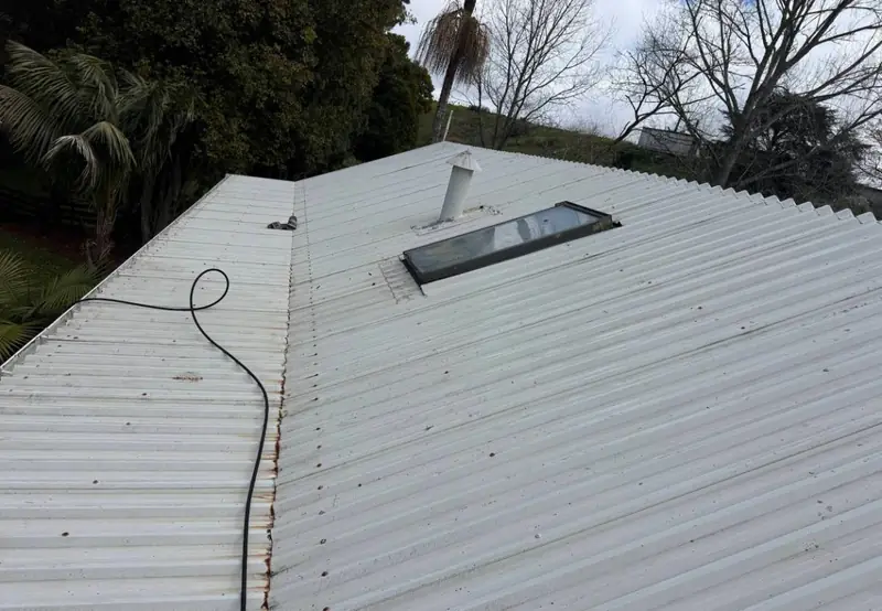 Roof washing and exterior cleaning in Papakura